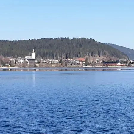 Διαμέρισμα Friedolin & Oskar Im Baerenhuesli Titisee-Neustadt